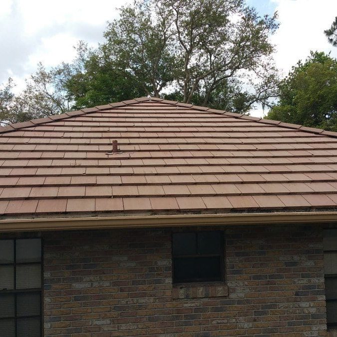 after roof cleaning